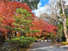 紅葉ｯ