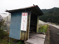 無人販売