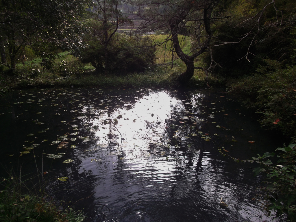 竹田観光08