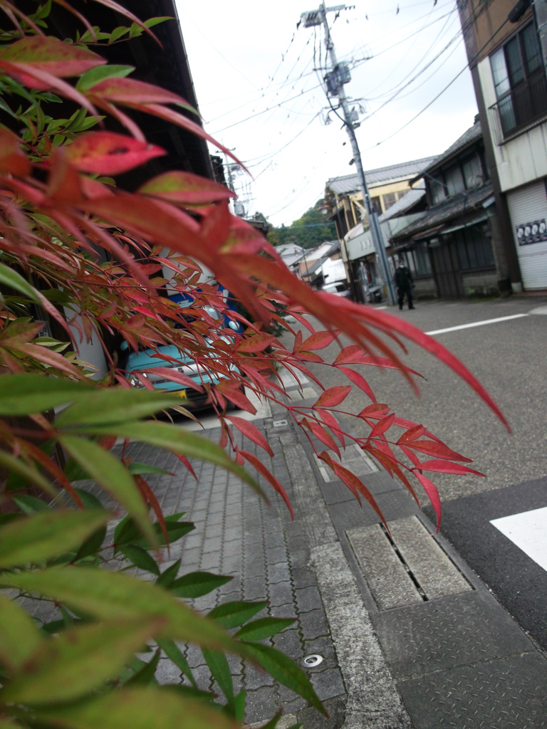 竹田観光05