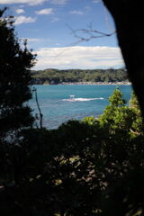 八幡岬公園の鳥居