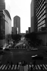 CP+2025の帰り道