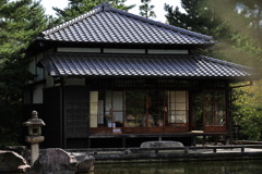 日本庭園での一枚