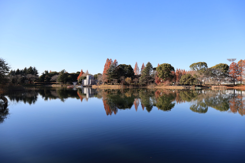 公園