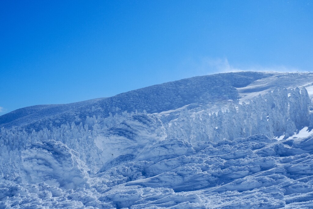 蔵王の樹氷②