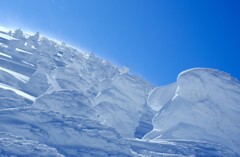 蔵王の樹氷①