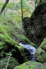 御岳山の清流