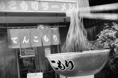 お箸が動くやつ