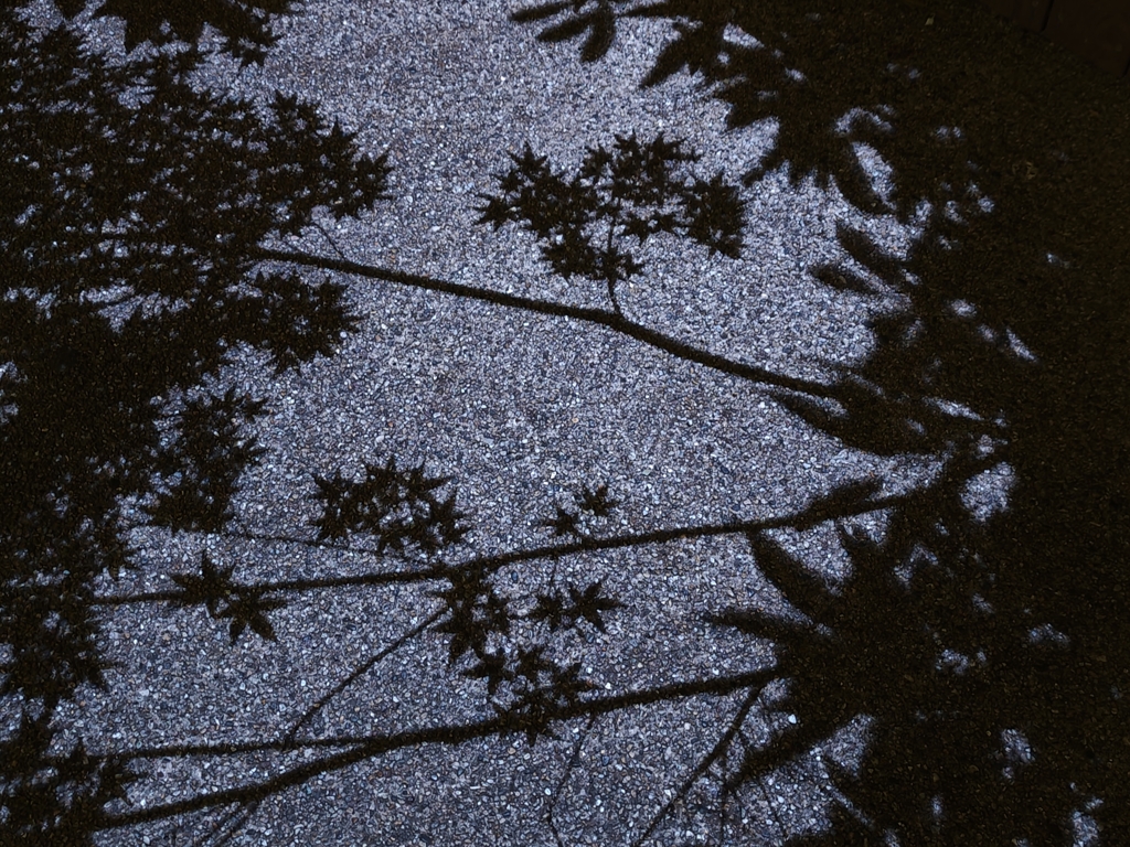 大手町の森