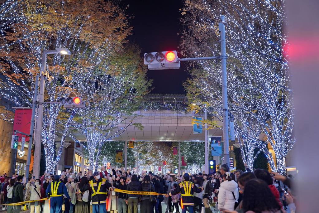 六本木イルミネーション5