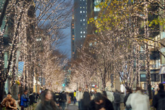 丸の内イルミネーション1