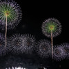 花火17