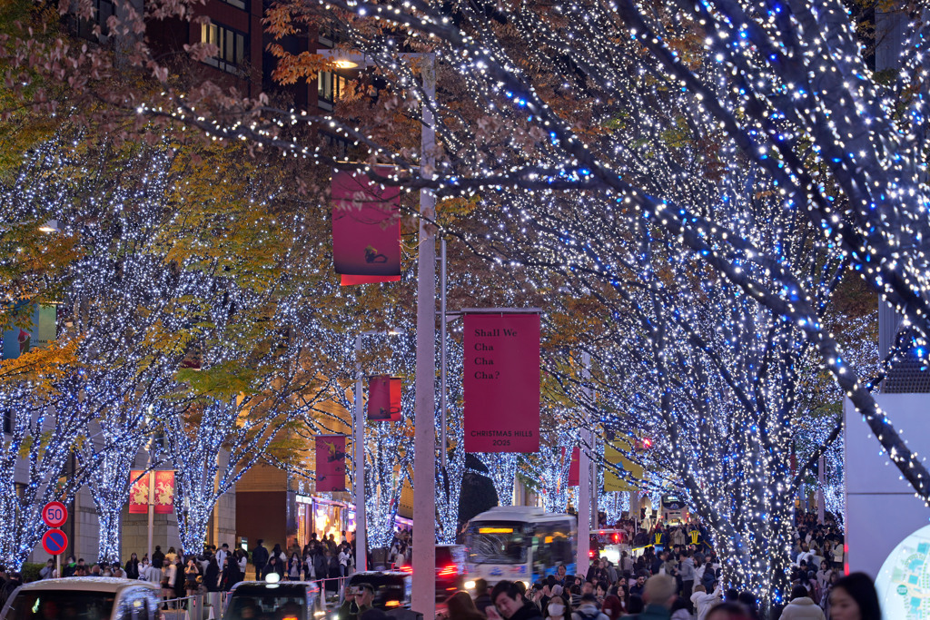 六本木イルミネーション8