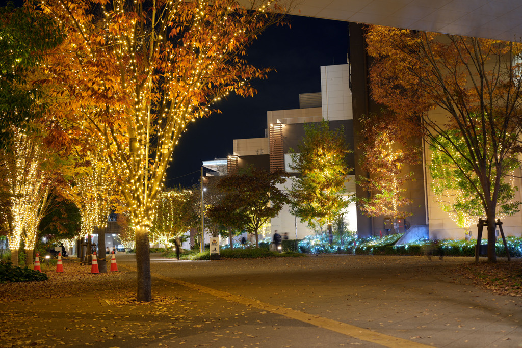 おおたかの森イルミネーション1