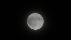 満月2