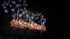 花火5