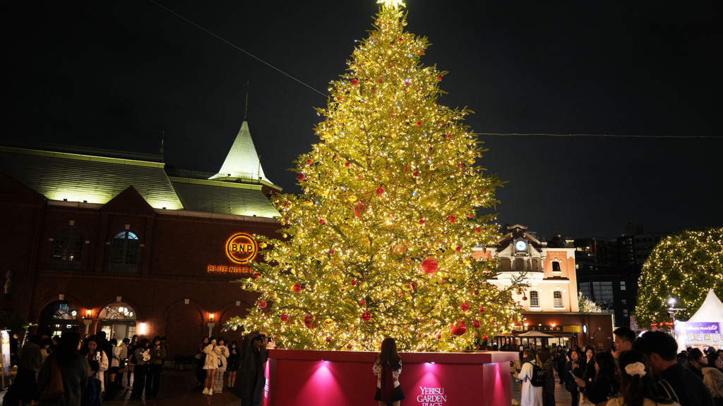 クリスマスツリー1