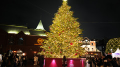 クリスマスツリー1