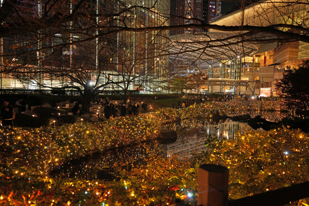 六本木イルミネーション9