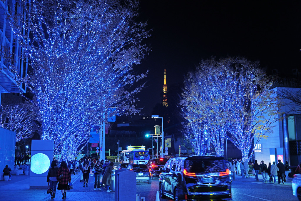 六本木イルミネーション6