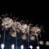 花火19
