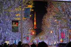 六本木イルミネーション4