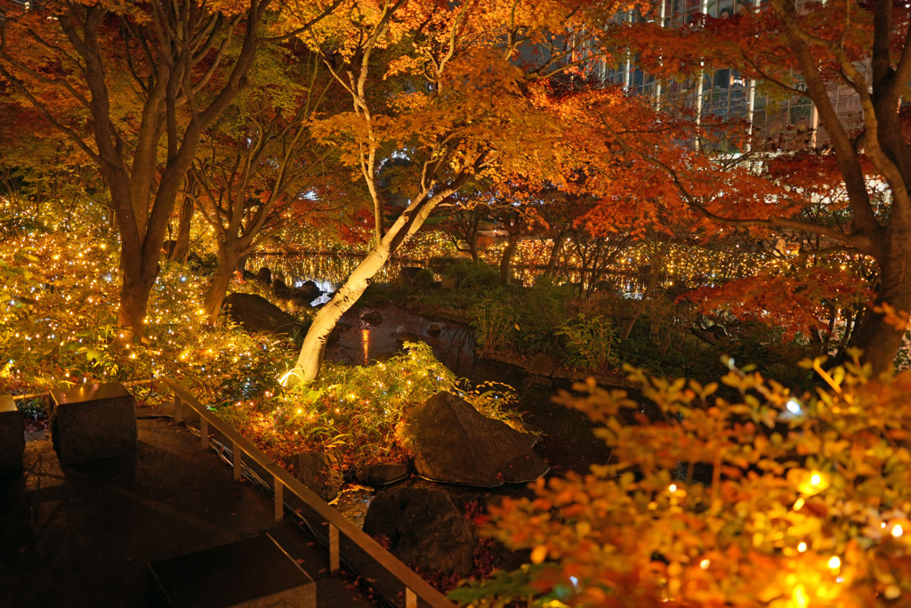 六本木イルミネーション12