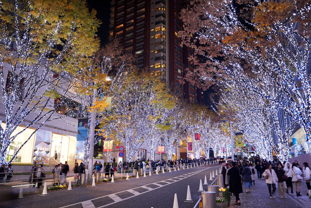 六本木イルミネーション7