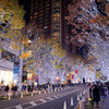 六本木イルミネーション7