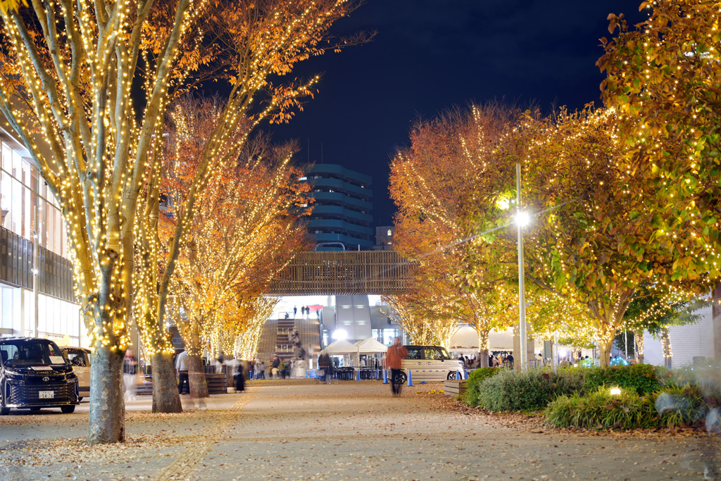 おおたかの森イルミネーション2