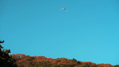 パラグライダー2