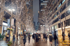 丸の内イルミネーション2