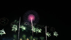 花火20