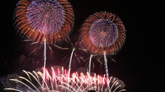 花火22