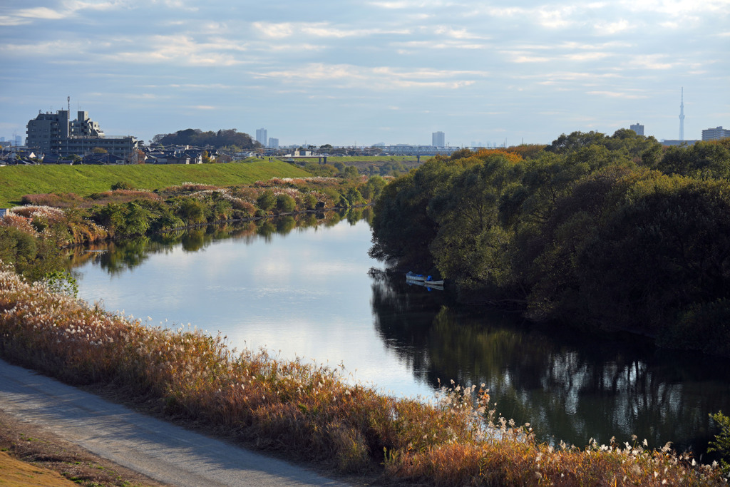 江戸川