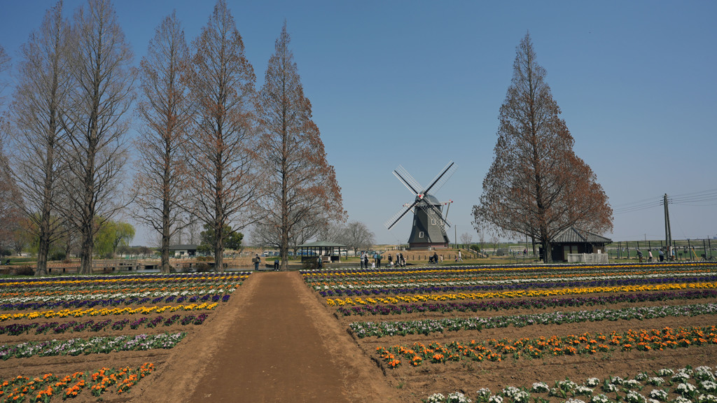 あけぼの山農業公園