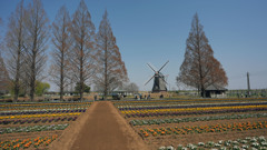 あけぼの山農業公園