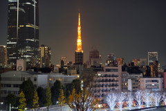 六本木イルミネーション2