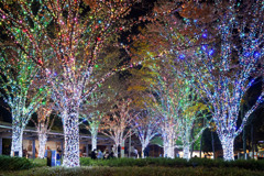 六本木イルミネーション1