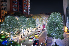 六本木イルミネーション3