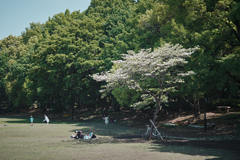春