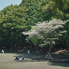 春
