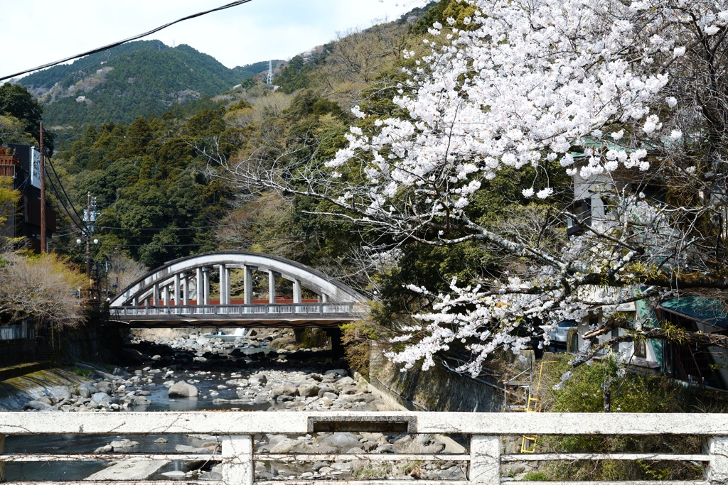 箱根湯本