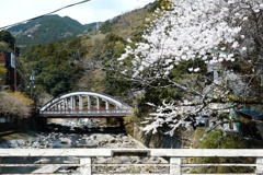 箱根湯本