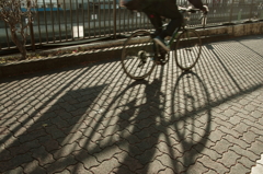 冬