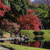 紅葉とメロンパン