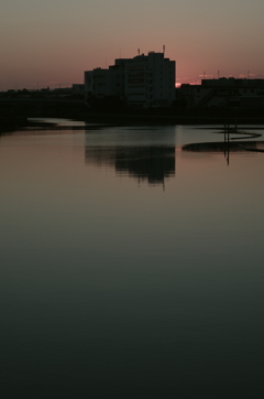 朝
