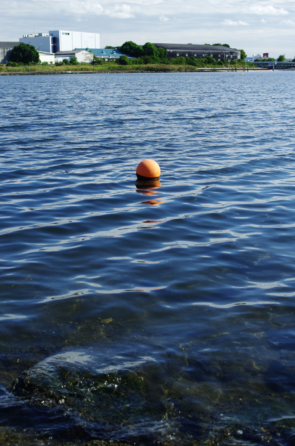 海