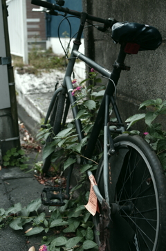 自転車
