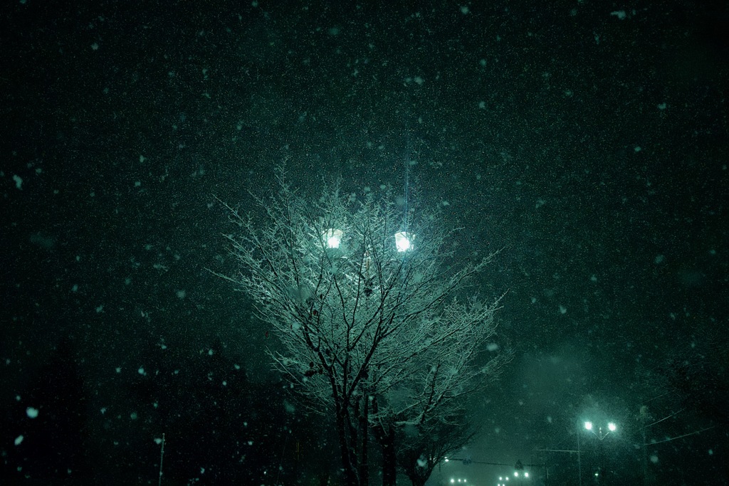 DSC_0983